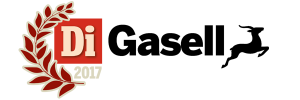 Gasell företag 2017 Areff Systems AB